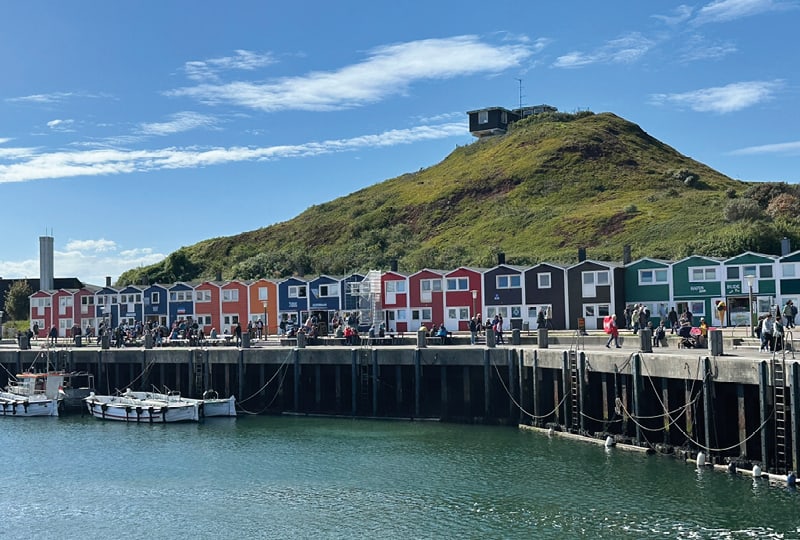 Blühende Heide & Nordseeluft mit Corinne Graber Blühende Heide & Nordseeluft mit Corinne Graber 1