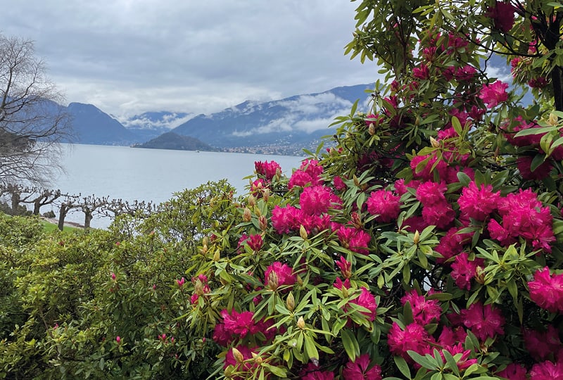 Lac Majeur & lac de Côme avec Marisa Marciano Wynn 1