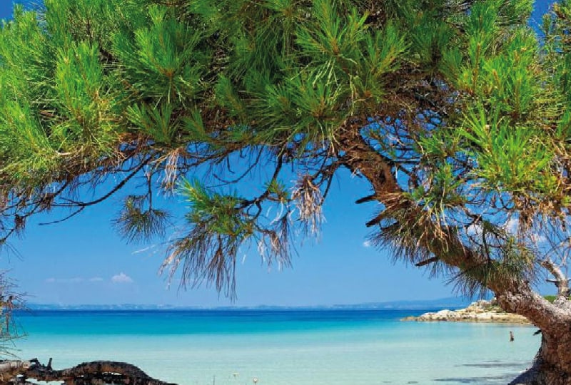 Halbinsel Chalkidiki mit Walter Unternährer 1