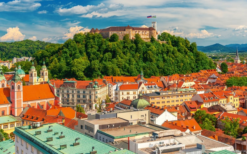 Tulpenblüte in Slowenien 3