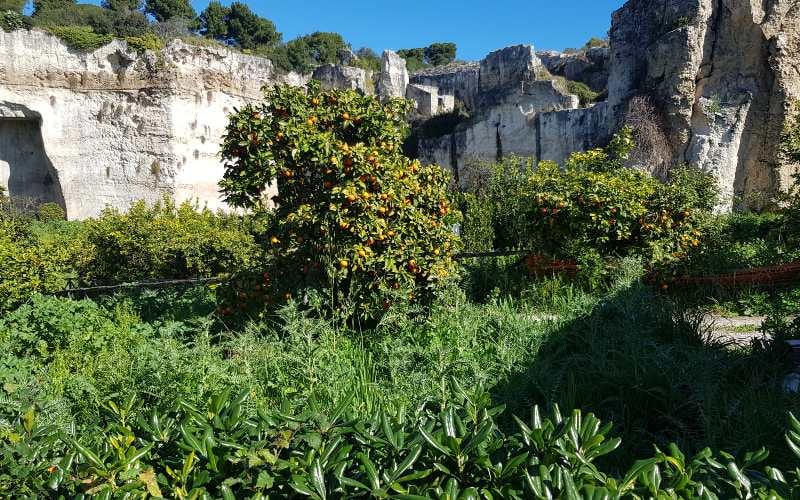 Mandelblüte auf Sizilien mit Beatrice Greve 45