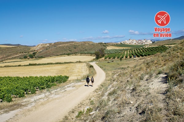 Tapas, vin et flamenco 5