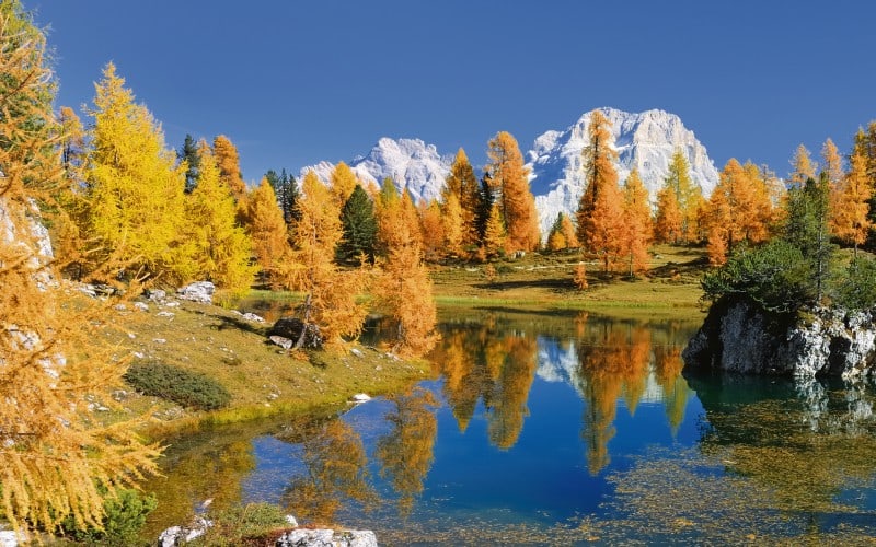 Goldener Herbst im Trentino 1