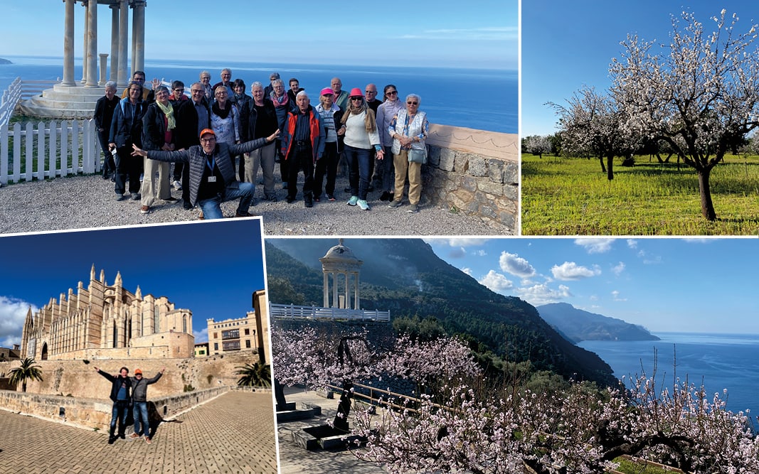 rb_rozanski_dflmama_3 Mandelblüte auf Mallorca mit Daniel Rozanski 4