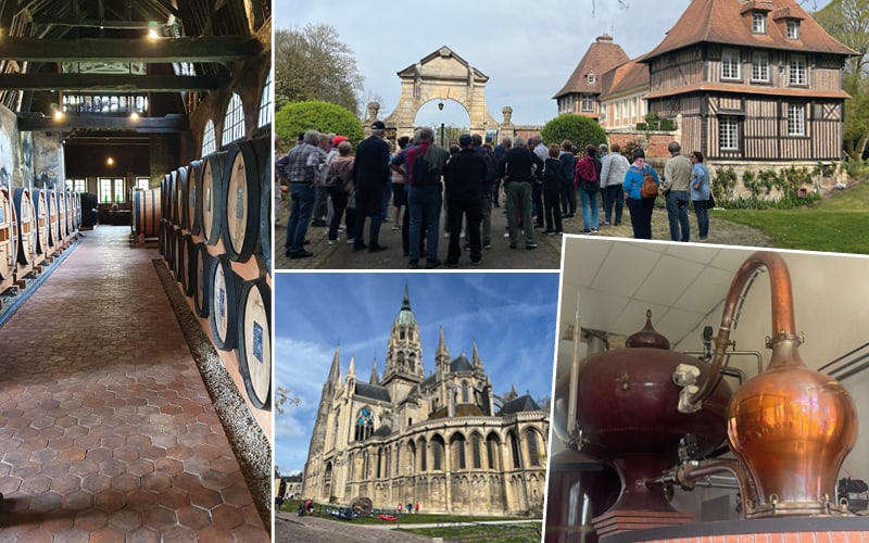 Pommiers en fleurs en Normandie avec Sophie Antoine 3