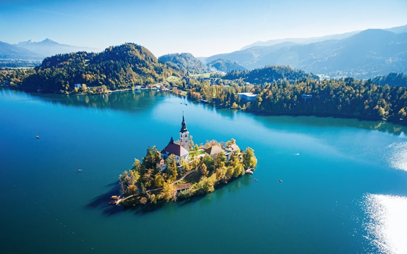 Tulpenblüte in Slowenien 2