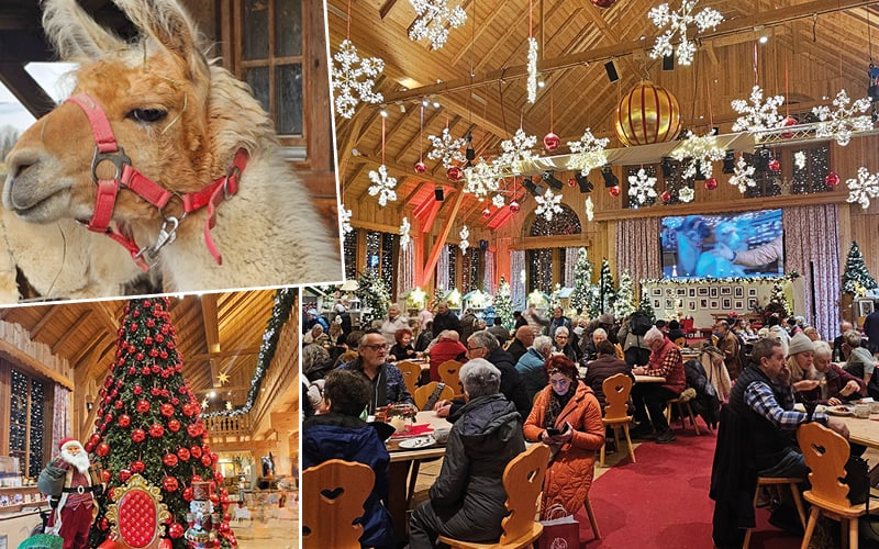 Advent auf Gut Aiderbichl mit Viola Schärer 5