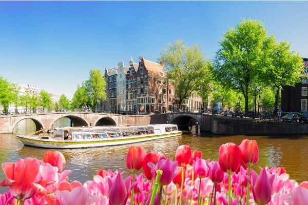 Amsterdam et les tulipes 5