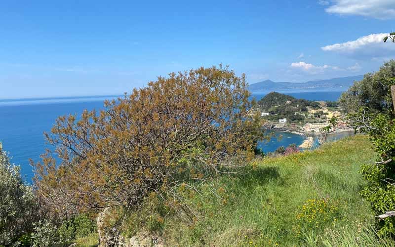 Frühlingswanderung in den Cinque Terre mit Corina Issler Baetschi 28
