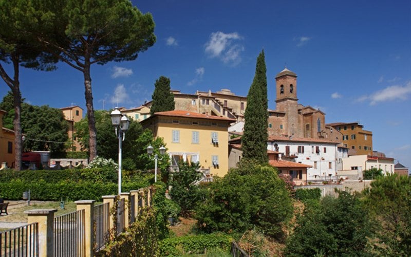 Olivenernte in der Toskana 8
