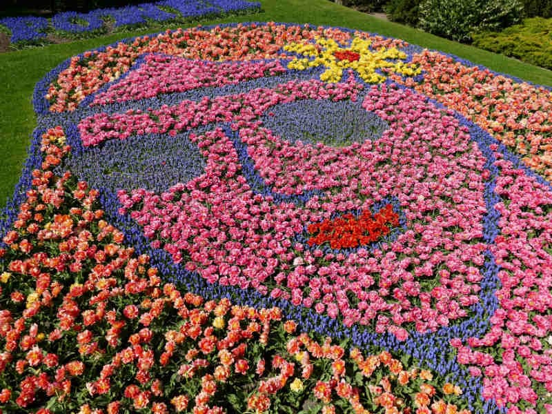 Amsterdam & Tulpenblüte 34
