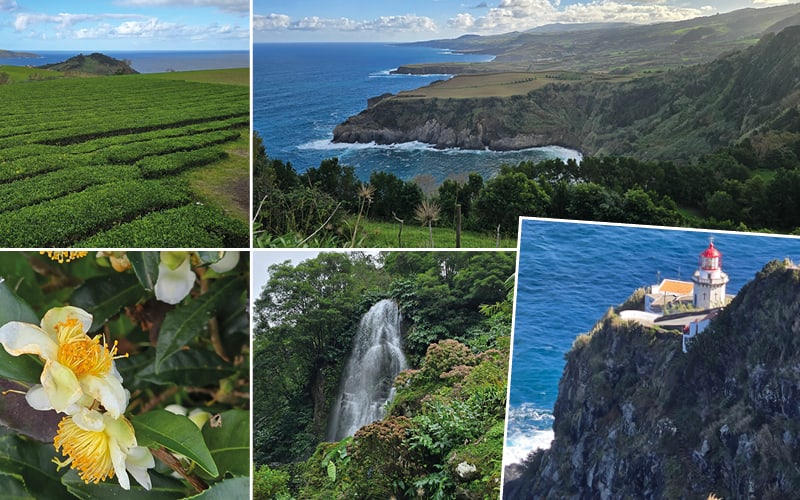 Azoren, Blütentraum im Atlantik mit Susanne Godli 7