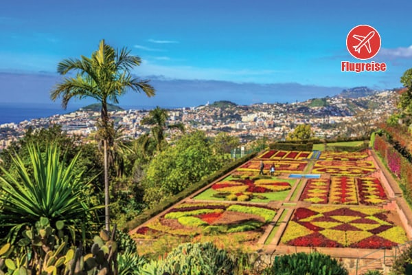 Blumeninsel Madeira Blumeninsel Madeira 7