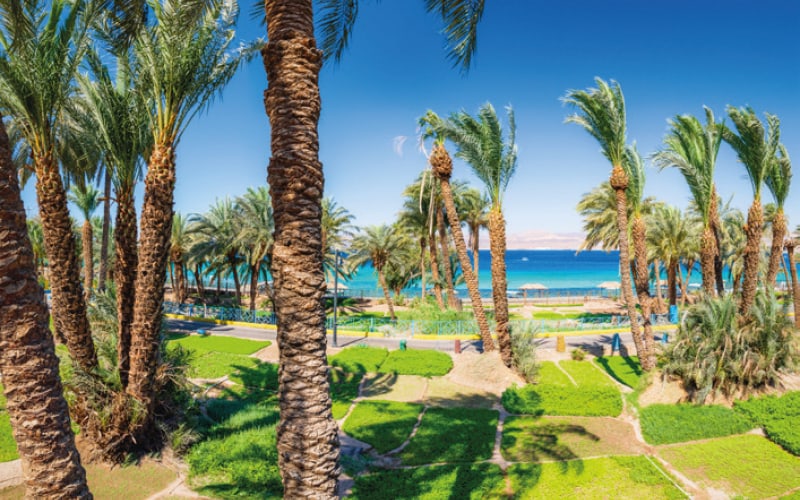 Jordanien, Wunder zwischen Sand, Salz und Stille 11