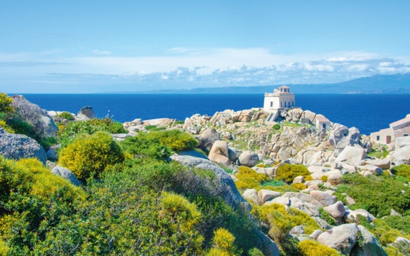 Küstenwandern Capo Testa 800x500 Küstenwandern auf Sardinien 3
