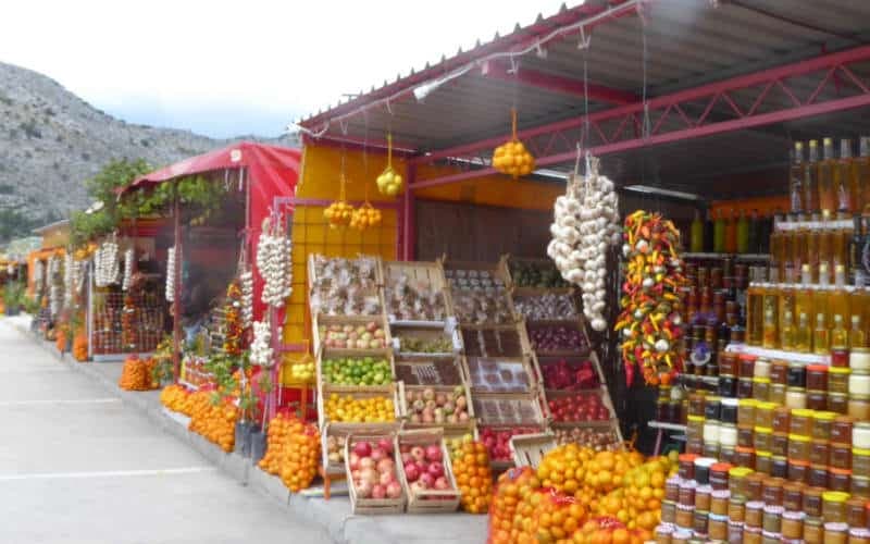 Récolte des mandarines en Dalmatie 11