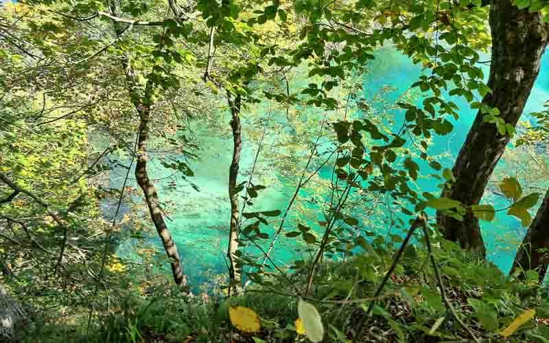 Plitvice Nationalpark & der Schatz am Silbersee mit Daniele Degiorgi 36