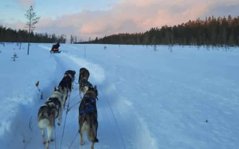 Wintertraum Lappland 13