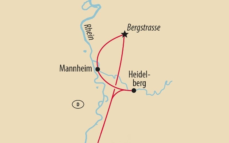 Heidelberg, Blütenpracht & Weingenuss 4