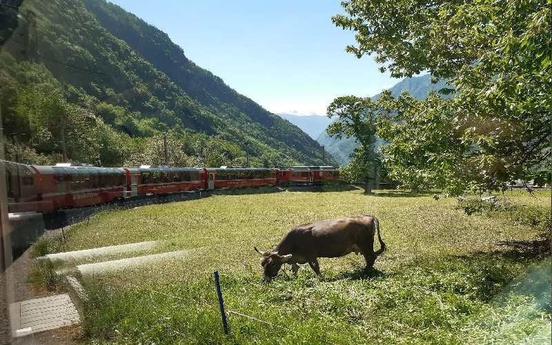 Bernina & Glacier-Express 14