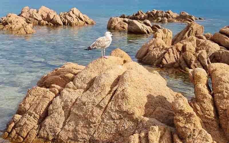 Küstenwandern auf Sardinien mit Daniele Degiorgi 15