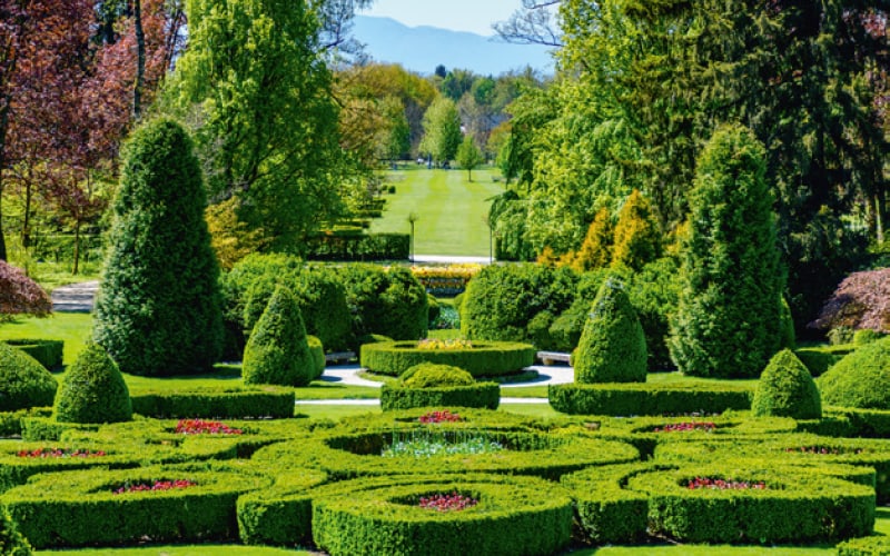 Tulpenblüte in Slowenien 4