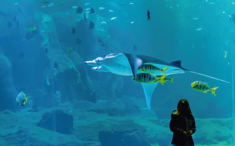 Nordfrankreichs Küstenschätze 4