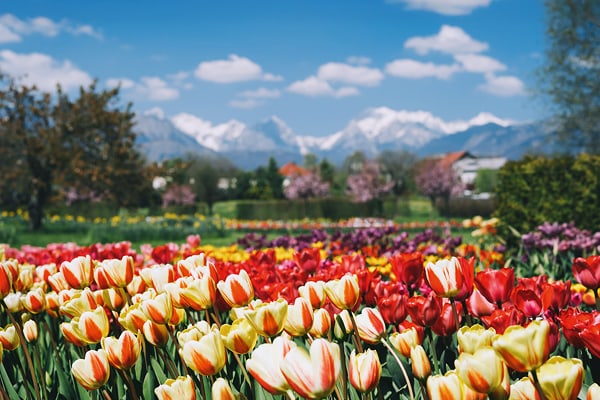 Reiseneuheiten von car-tours.ch 5
