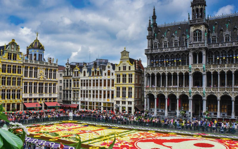Bruxelles & Bruges, entre fleurs et canaux 6