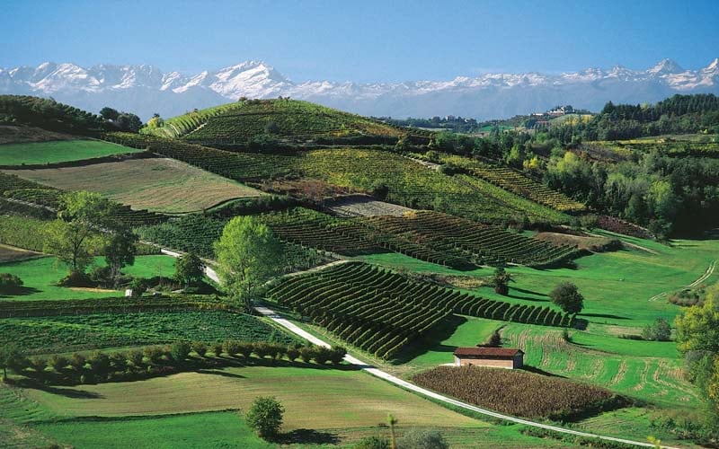 Genusswandern im Piemont 4