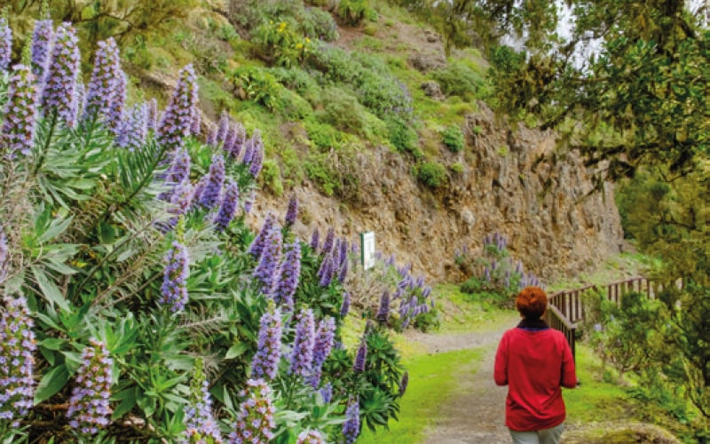 Îles Canaries et Madère Costa Fortuna 6