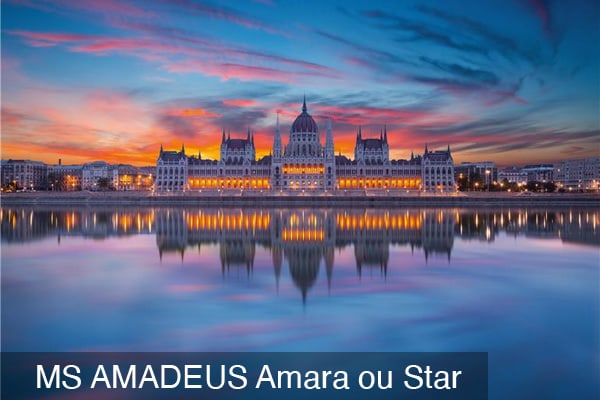 Sur le beau Danube bleu (2026) 10