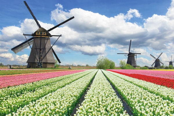 Amsterdam & Tulpenblüte 2
