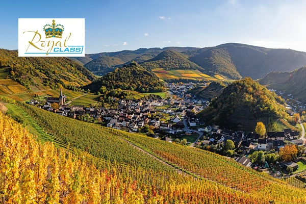 Goldener Herbst im Tal der Trauben 8