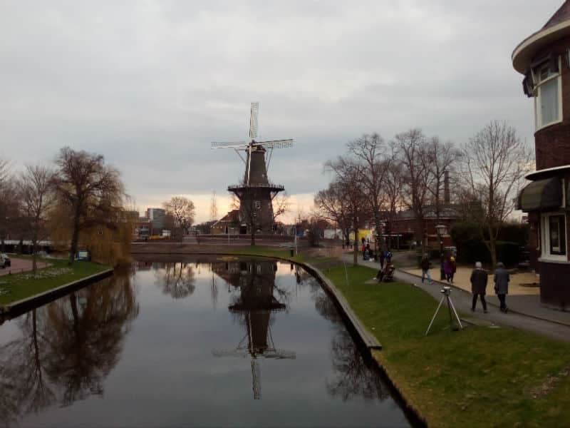 Amsterdam et les tulipes 11