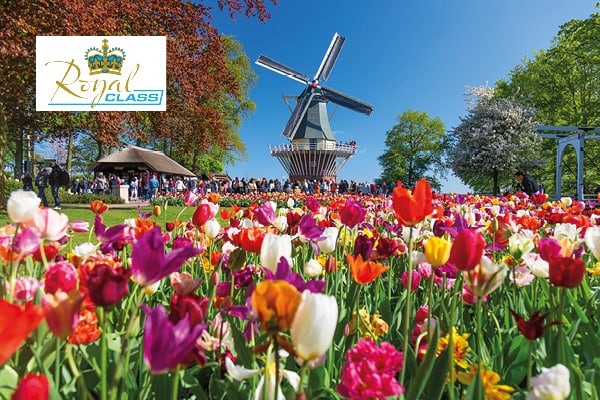 Amsterdam & Tulpenblüte (Royal Class) 111