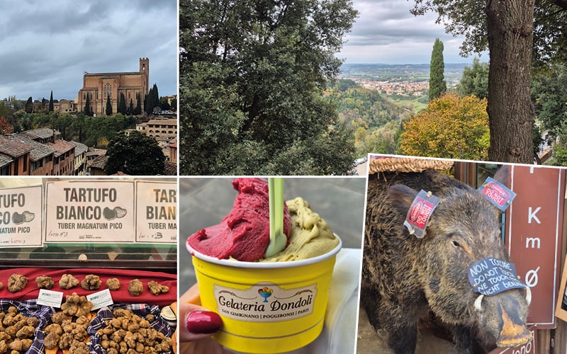 Trüffelzauber in der Toskana mit Steffy Wunderlich 7