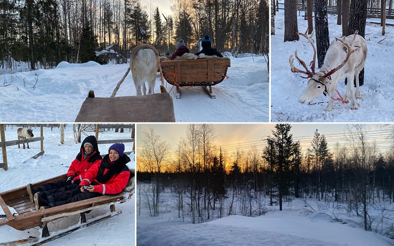 Wintertraum Lappland mit Heidi Halter 6