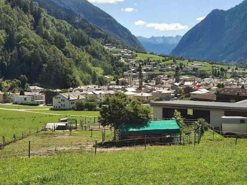 Bernina- & Glacier Express 7
