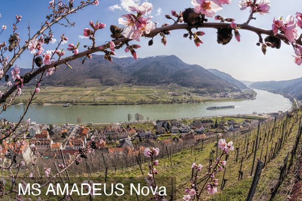 Frühlingsflussfahrt - Marillenblüte in der Wachau 8