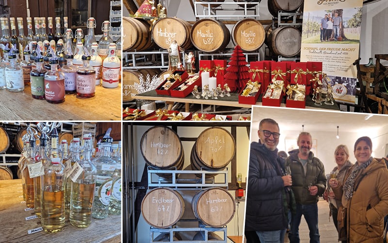 Advent auf Schloss Neuschwanstein mit Ida Bardea 6