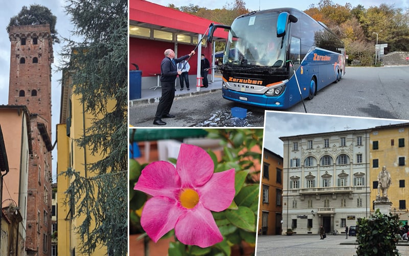Trüffelzauber in der Toskana mit Steffy Wunderlich 3