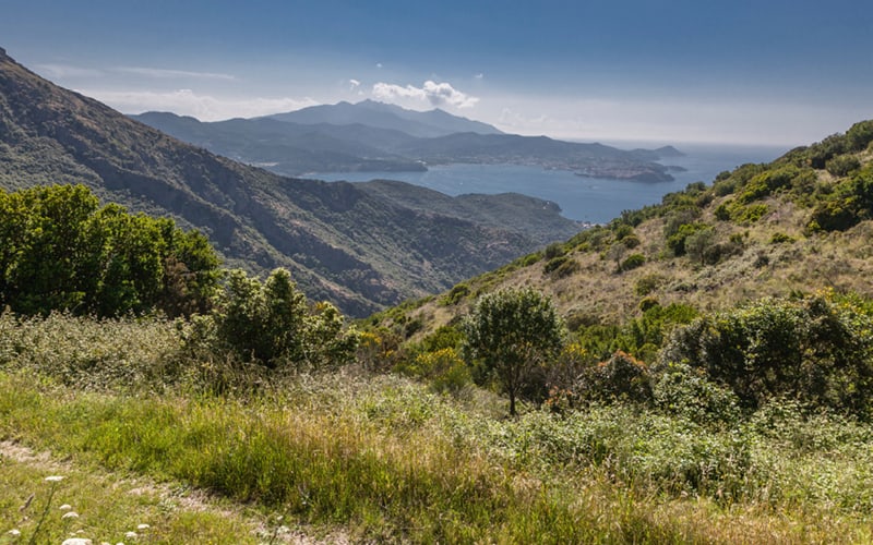 Randonnée sur l'île d'Elbe 3