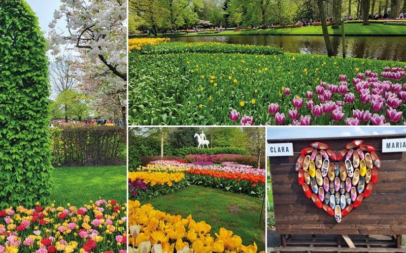 Tulpenblüte nach Holland mit Edith Rüsi 4