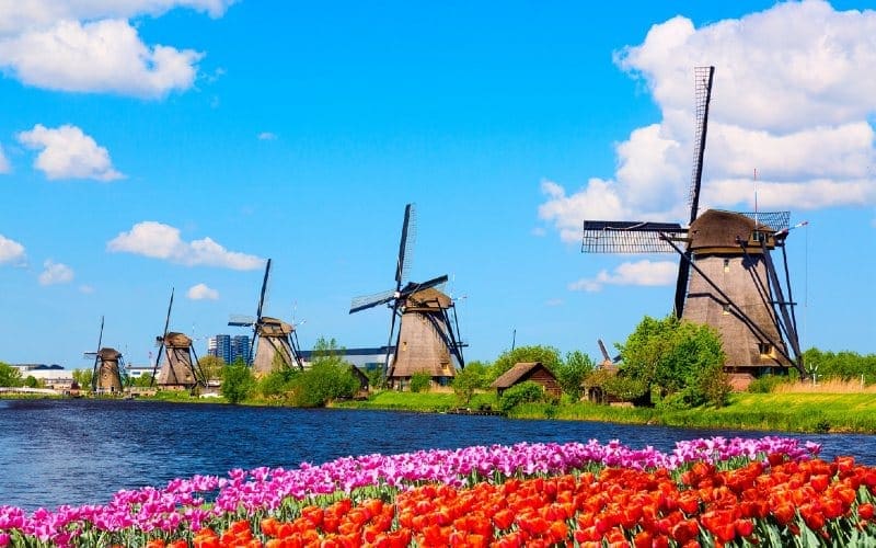 Frühlingsflussfahrt - zur Tulpenblüte nach Holland 1