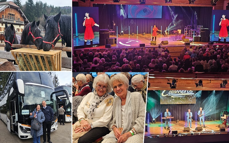 Advent auf Gut Aiderbichl mit Viola Schärer 6