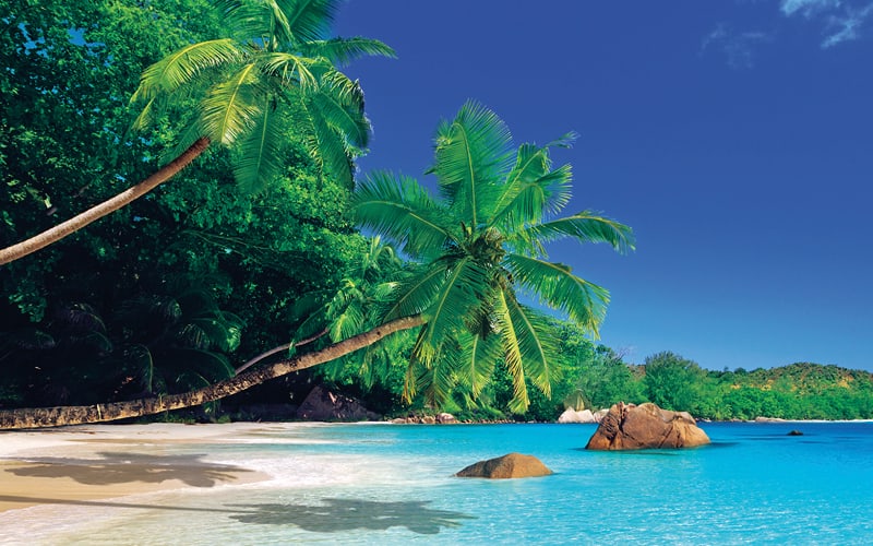 Von Dubai nach Kapstadt - Mein Schiff 4 7