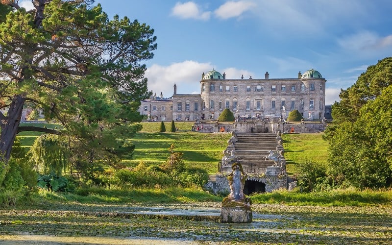 Irlands blühender Frühling 1