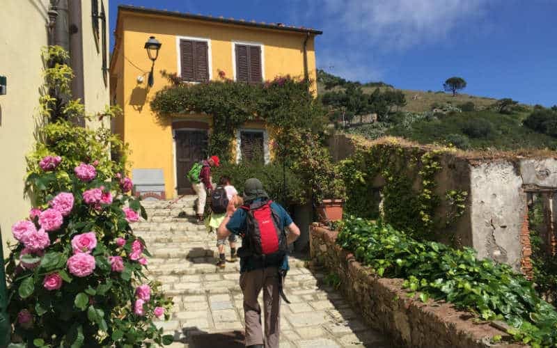 Wandern auf der Insel Elba 9