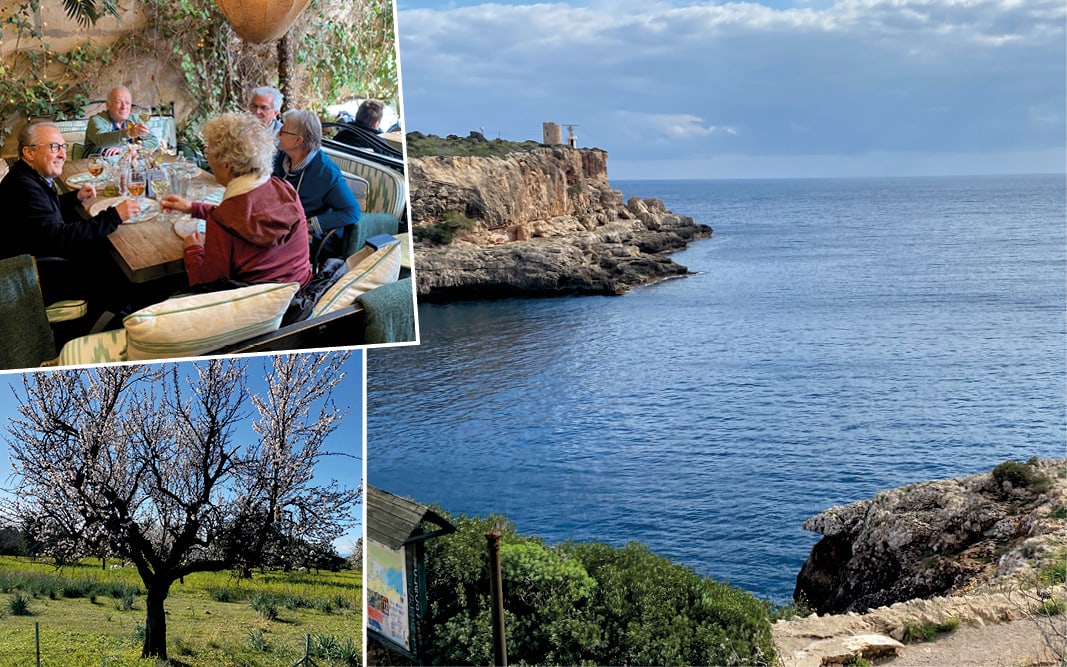 rb_rozanski_dflmama_2 Mandelblüte auf Mallorca mit Daniel Rozanski 3